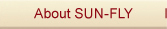 About SUN-FLY  